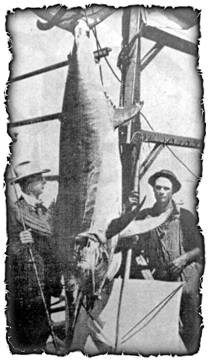 william-c-boschen-eerste-zwaardvis-gevangen-aan-de-hengel